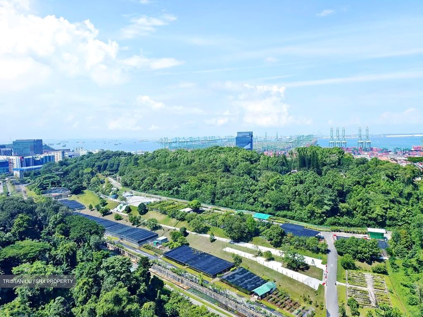Normanton Park (D5), Apartment #558171741
